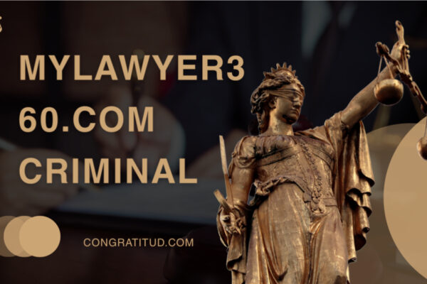 Everything You Need to Know About mylawyer360.com Criminal Services